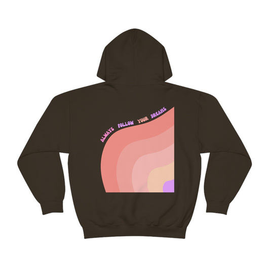 Aesthetic Hoodie, Positivity Hoodie, Always Follow Your Dreams Trendy Vsco Hoodie Graphic Aesthetic Pink Gift, Retro Rainbow Sweatshirt